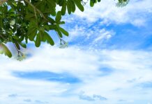 Kiến trúc đẹp tại Vũng Tàu được khách du lịch ghé thăm nhiều nhất
