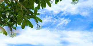 Kiến trúc đẹp tại Vũng Tàu được khách du lịch ghé thăm nhiều nhất