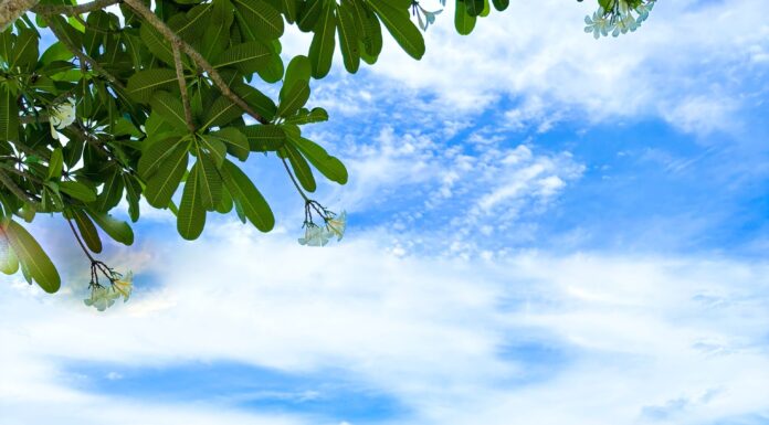 Kiến trúc đẹp tại Vũng Tàu được khách du lịch ghé thăm nhiều nhất
