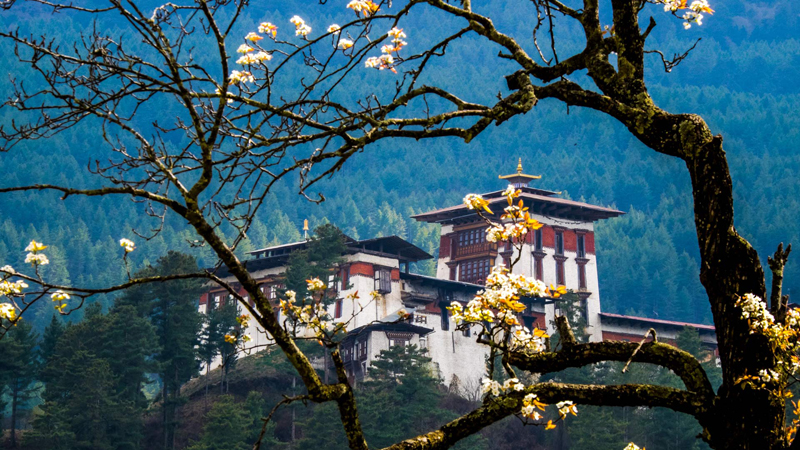 Kiến trúc đẹp tại Bhutan được khách du lịch ghé thăm nhiều nhất