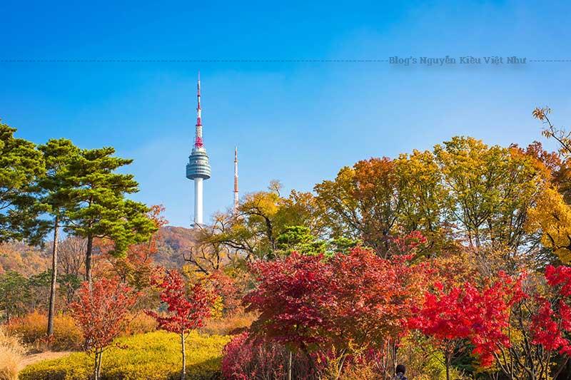 Ngọn tháp cũng gây ấn tượng cho du khách từ con đường dẫn lên, con đường nổi tiếng lãng mạn và đẹp mắt, đặc biệt khi hoa anh đào nở và mùa thu lá đỏ rụng đầy.